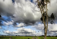 乐鱼体育-西甲国家德比之夜，莫兰特成为全场焦点