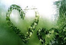 乐鱼体育app-赖斯一锤定音，厄瓜多尔击溃秘鲁背后的关键先生