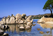 乐鱼体育-教科书之夜，马克西如何用一场欧冠半决赛定义伟大